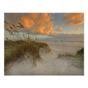Foto Dunas de areia bonitas em Daytona Beach, FL