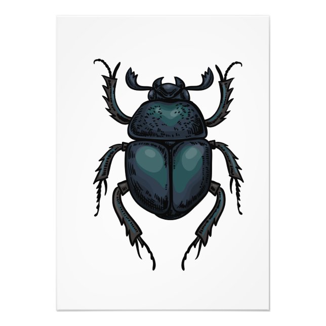 Foto Dung beetle (Frente)