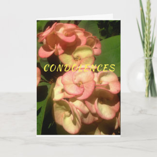 Foto e desenho originais no Cartão de condolências