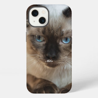 Foto e Nome de Gato Ragdoll Personalizados