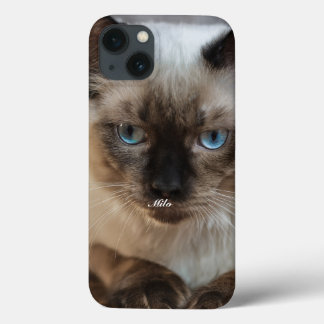 Foto e Nome de Gato Ragdoll Personalizados