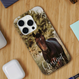 Foto e nome do cavalo
