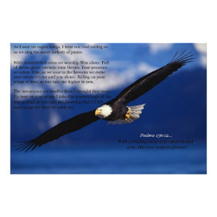 Foto Eagle que sobe altamente