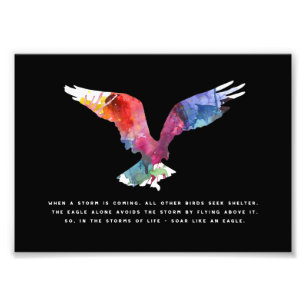 Foto Eagle que voa a arte inspirador inspirada das