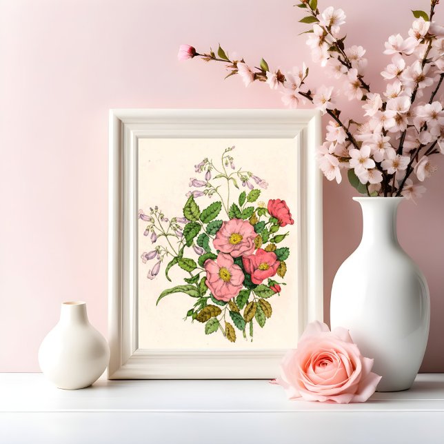 Foto Early Wild Rosa, Pentstèmon Beard-Tongue (1868) (Criador carregado)