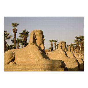 Foto Egito, Luxor. A Avenida das Esfinges leva a