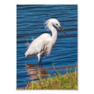 Foto Egret nevado na lagoa