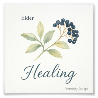Foto Elder — Healing