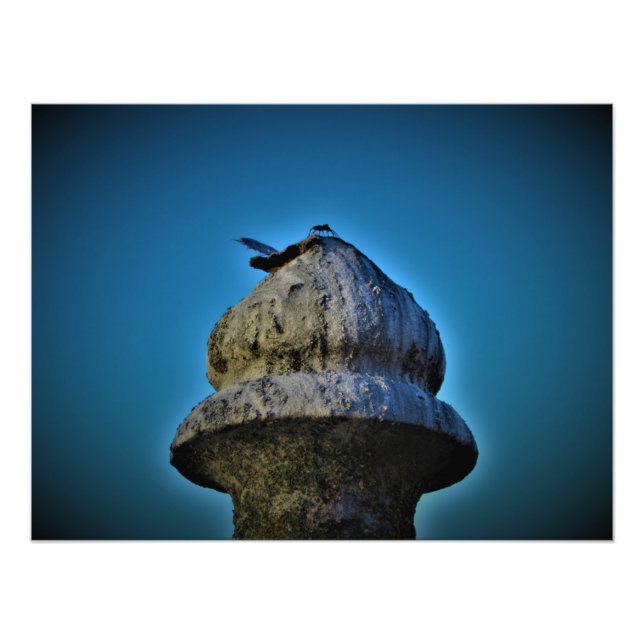 Foto "Ele vive por Sunset" (Frente)