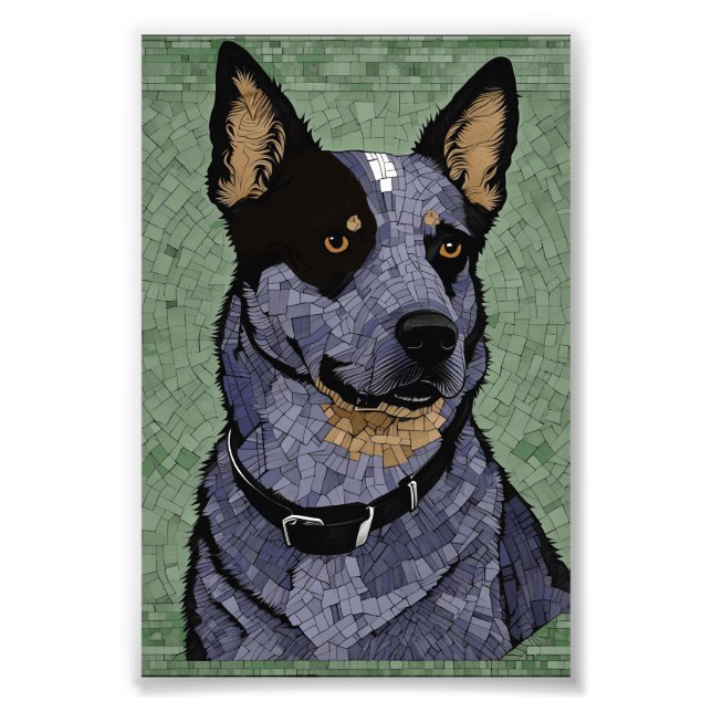 Foto Eleanor the Blue Heeler (Frente)