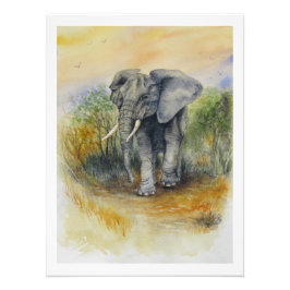 Foto Elefante Africano