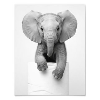 Foto Elefante Bebê Minimalista Espiando de Cima do Pape