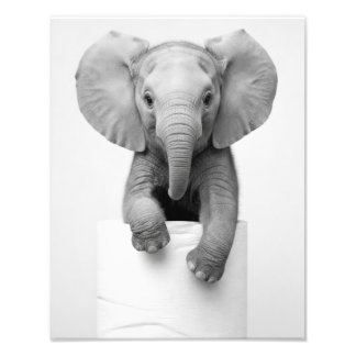 Foto Elefante Bebê Minimalista Espiando por Rolo de Pap