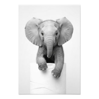 Foto Elefante Bebê Minimalista Espiando por Rolo de Pap