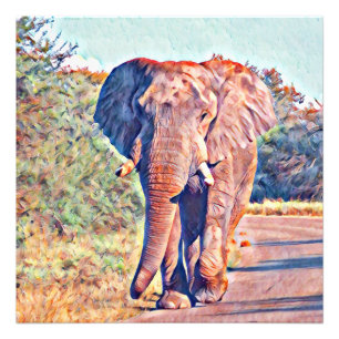 Foto elefante do aquarell