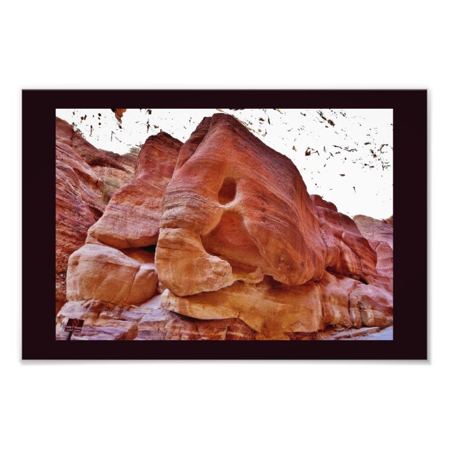 Foto Elefante em Petra (Frente)