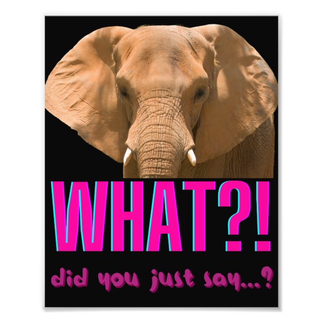 Foto Elefante O Que Você Acabou de Dizer? (Frente)