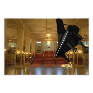 Foto Elefante poderoso