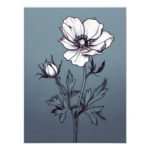 Foto Elegância Sangrenta: Flor Branco sobre o Azul Sere