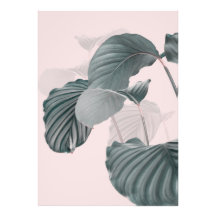 Elegância tropical em Pastel