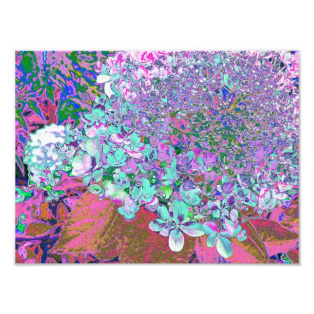 Foto Elegante Detalhe de Hortênsia Limelight Aqua e Rox (Frente)