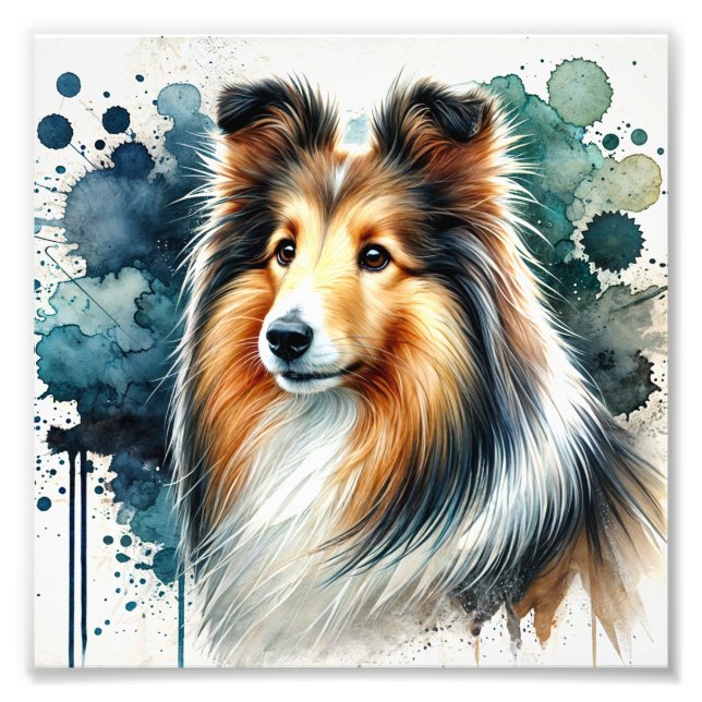 Foto Elegante Shetland Sheepdog Watercolor Art (Frente)