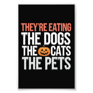 Foto Eles Estão Comendo Os Cachorros Os Gatos Os Animai