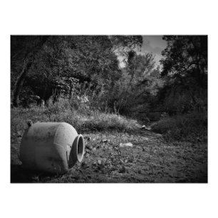 Foto "Em Terras Rejeitadas"