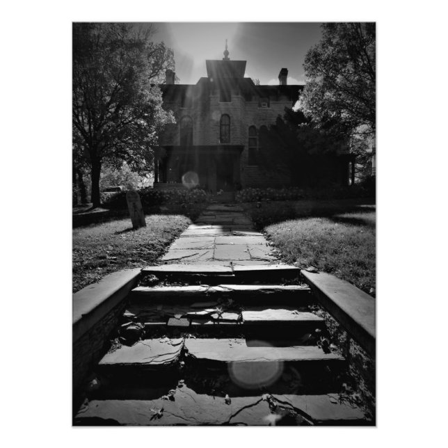 Foto "Em um caminho derrotado" (Frente)