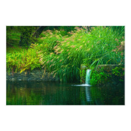 Foto Emerald Stillness by the Garden Falls
