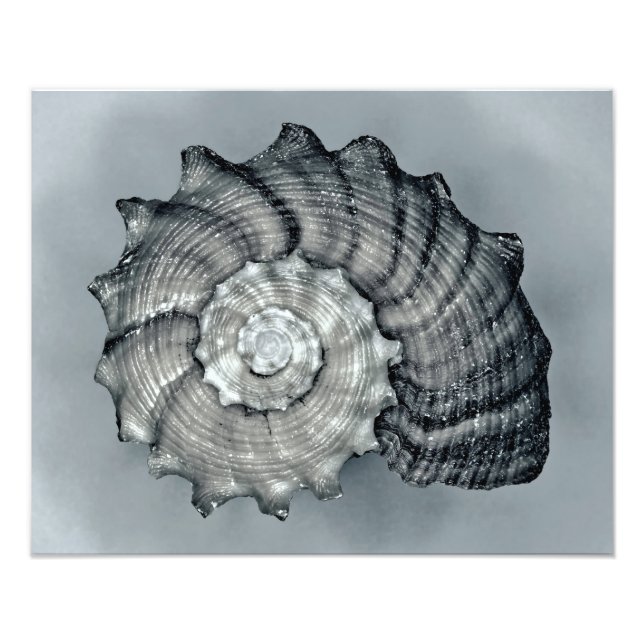 Foto Empachado (Frente)