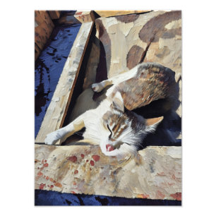 Foto Encantador Gato Relaxando à Luz do Sol