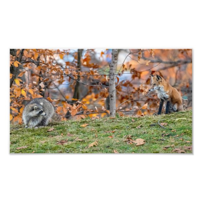 Foto Encontro de Inquiescência (Frente)