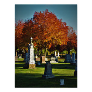 Foto "Energia brilha"