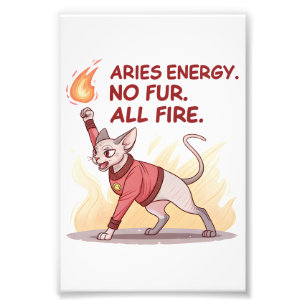 Foto Energia de Áries Gato Sphynx Sem Pelo Todo Fogo Ar