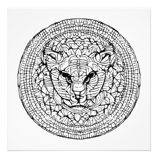 Foto Energia de Gatos Selvagens