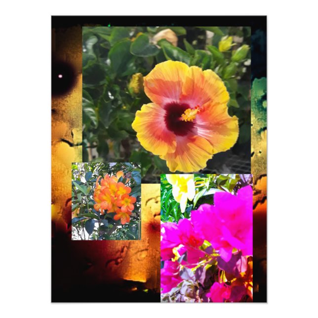 Foto Energia do ventilador 2024 (Frente)