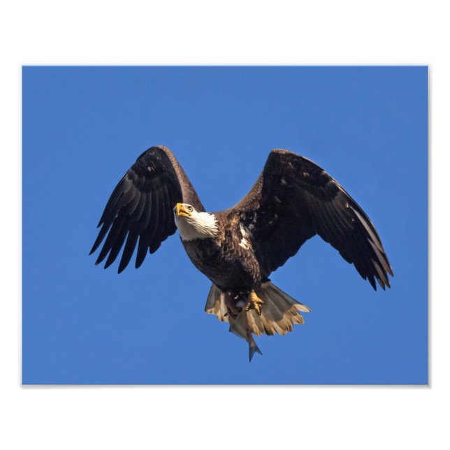 Foto Entrega das mercadorias (Frente)
