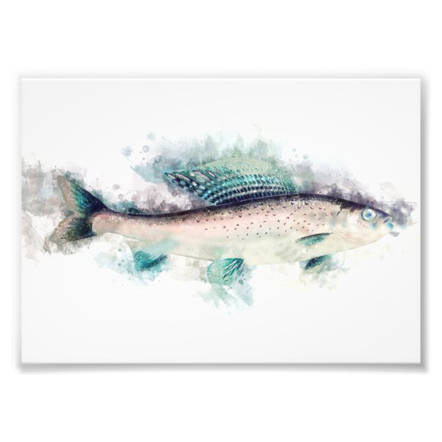 Foto Entusiastas da pesca da arte aquática cinzenta do  (Frente)