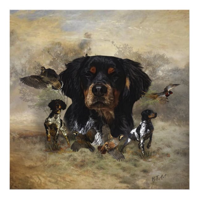 Foto Epagneul Breton, Bretanha Spaniel (Frente)