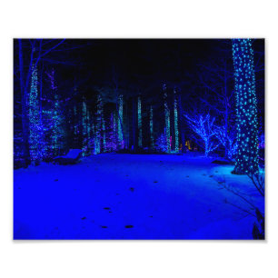 Foto Época de Natal Maravilhosa 8 x 10 Impressão Kodak 