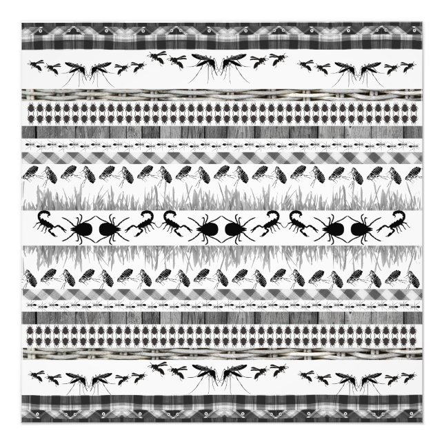 Foto Equilíbrio de insetos de hertzinha (Frente)