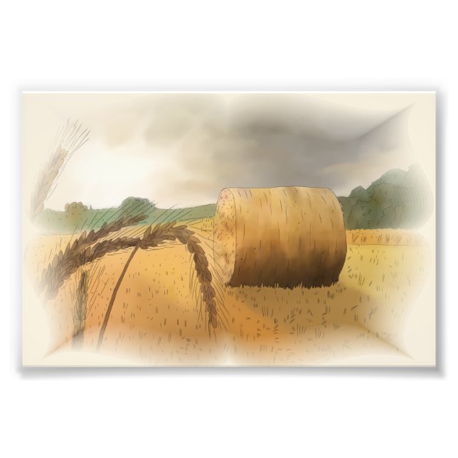 Foto Erntezeit (Frente)