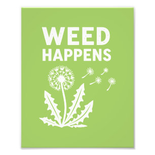 Foto Erva Daninha Happens fofa cínica dandelion Engraça
