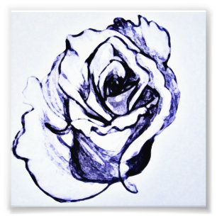 Foto Esboço à mão de flor de rosa