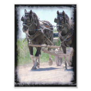 Foto Esboços de trabalho do Pinto de Amish