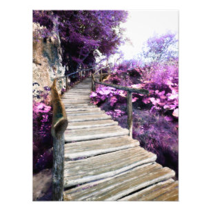 Foto escada de wisteria