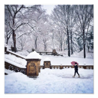 Escadas Cobradas Por Neve No Parque Central