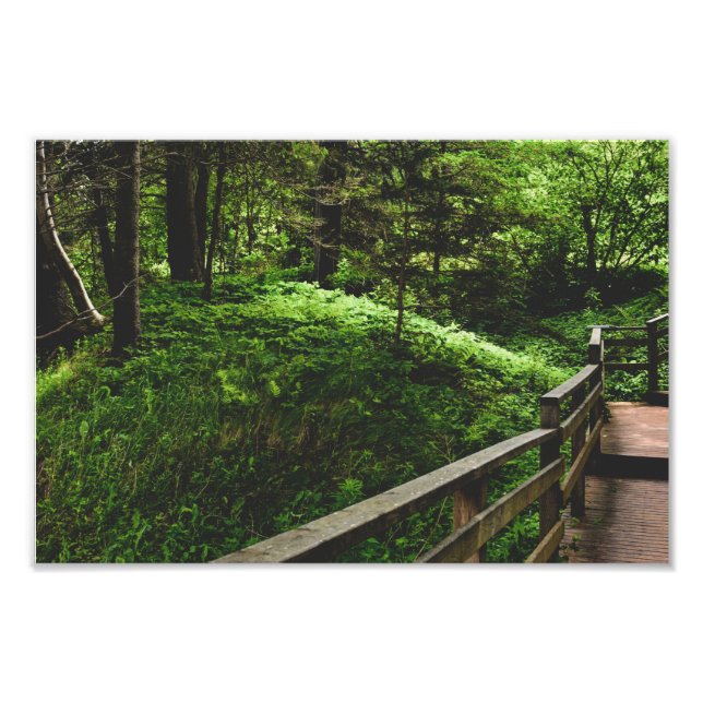 Foto Escadas no campo verde (Frente)