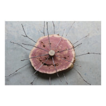 Escultura de Natureza Vermelha Oriental do Cedar C